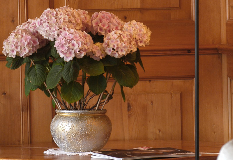 flore charme 6